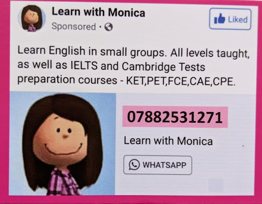 Learn with Monica image