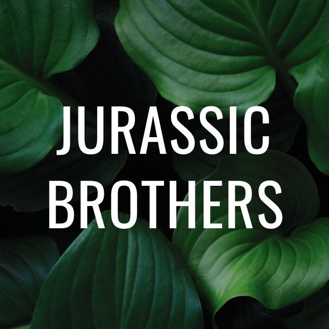 Jurassic Brothers image